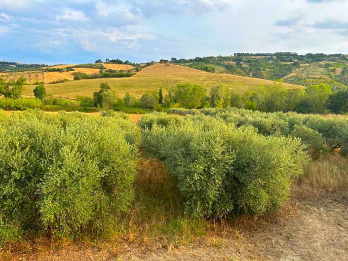 Image No.10-2 Bed Country House for sale