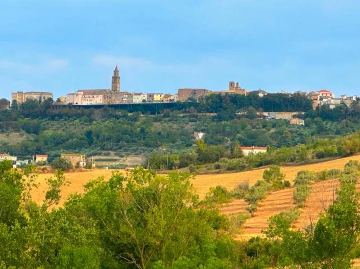 Image No.12-2 Bed Country House for sale