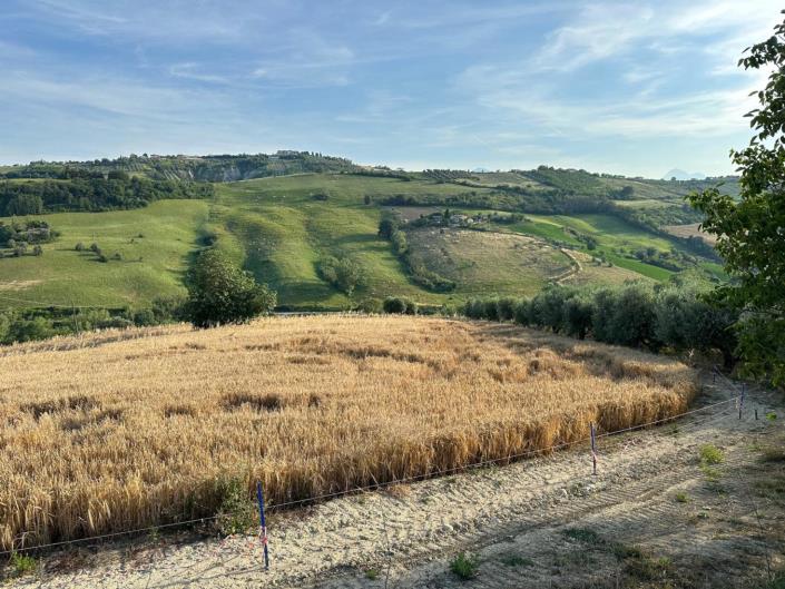 Image No.6-Chalet de 4 chambres à vendre à Atri