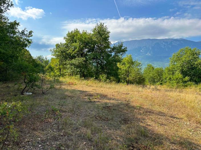 Image No.2-Terre à vendre à Caramanico Terme