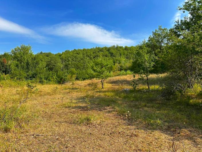 Image No.6-Terre à vendre à Caramanico Terme