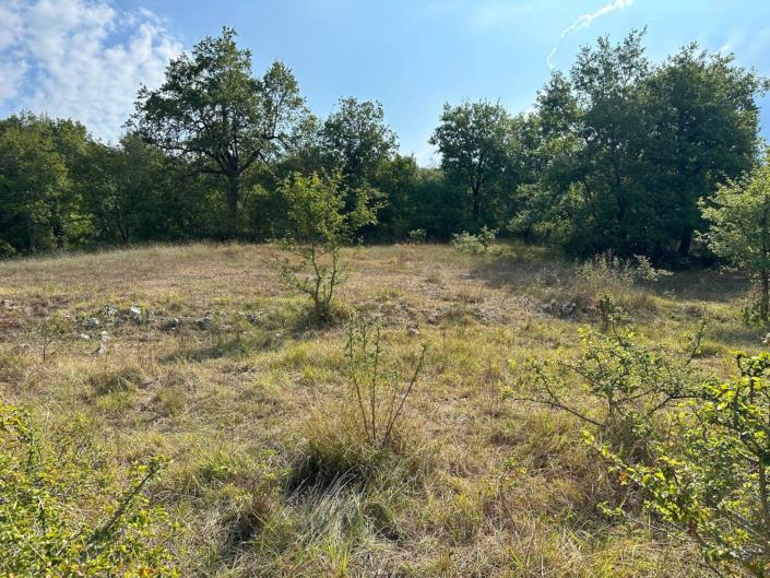 Image No.8-Terre à vendre à Caramanico Terme