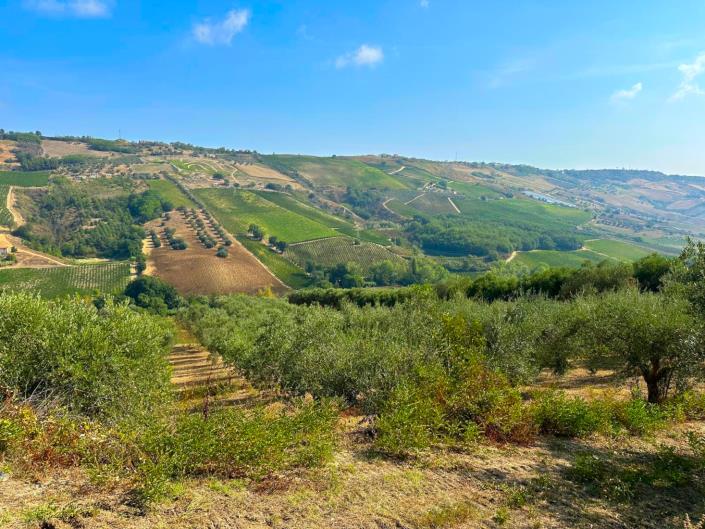 Image No.7-Farmhouse for sale