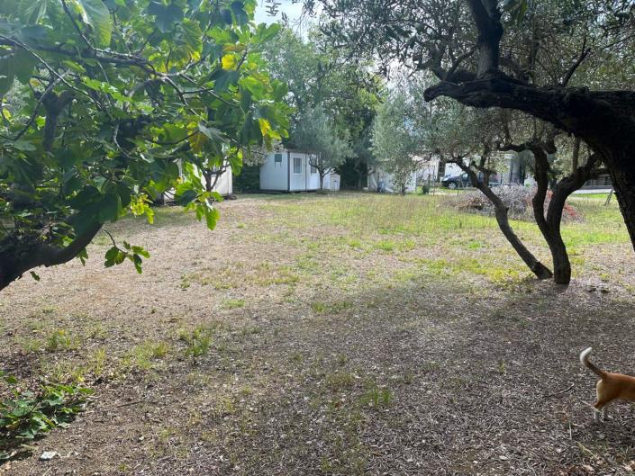 Image No.3-Land for sale