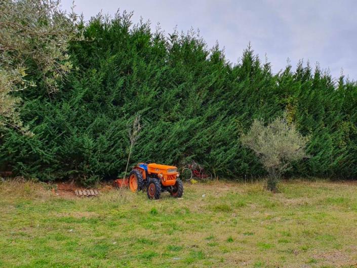 Image No.7-Land for sale