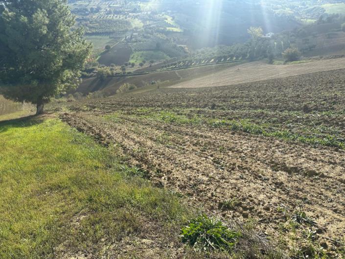 Image No.8-Land for sale