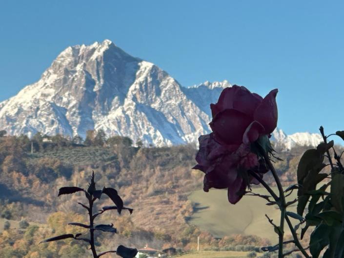 Image No.4-2 Bed Villa / Detached for sale