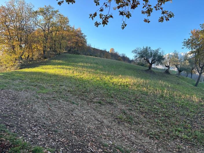 Image No.8-2 Bed Villa / Detached for sale