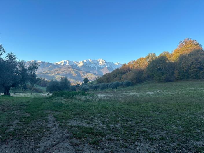 Image No.12-2 Bed Villa / Detached for sale