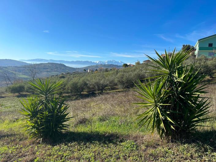 Image No.13-2 Bed Villa / Detached for sale