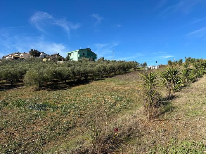 Image No.2-Terre à vendre à Atri