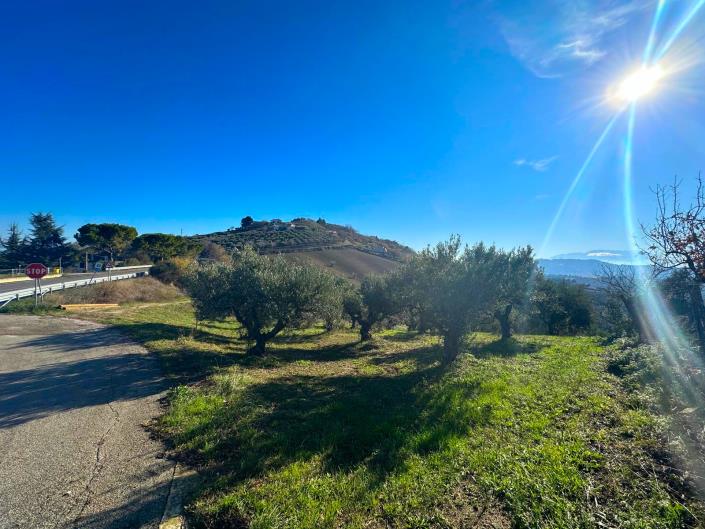 Image No.6-Terre à vendre à Atri