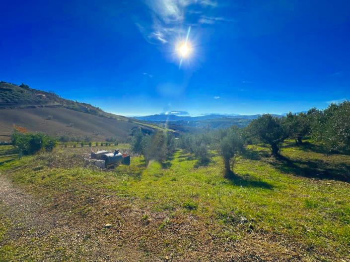 Image No.7-Terre à vendre à Atri