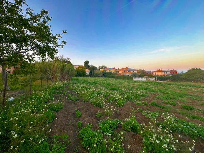 Image No.2-Land for sale