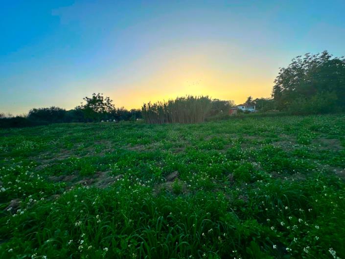 Image No.11-Land for sale