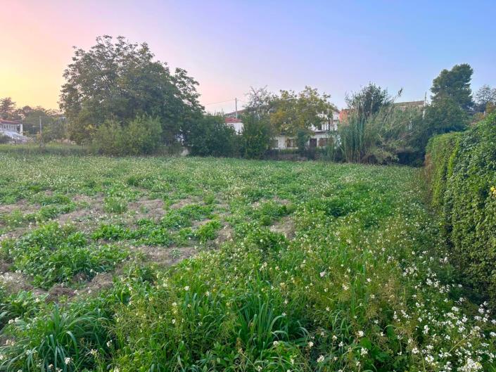 Image No.12-Land for sale