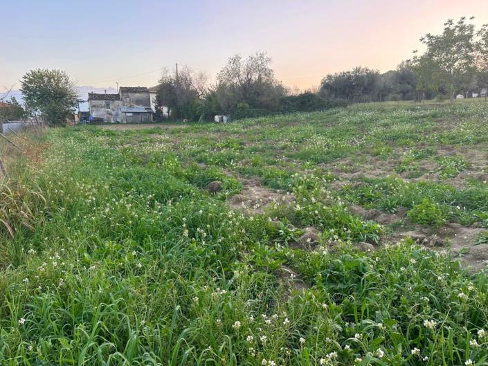 Image No.13-Land for sale