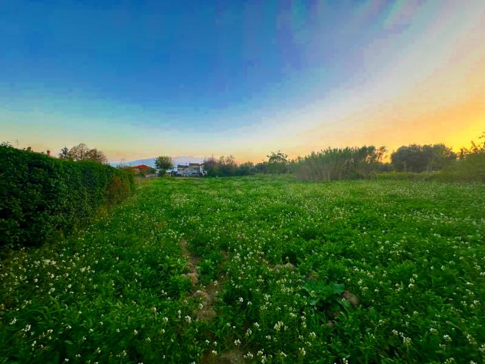 Image No.2-Land for sale