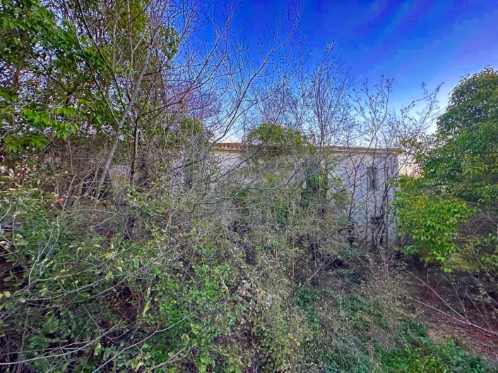 Image No.5-Cottage for sale