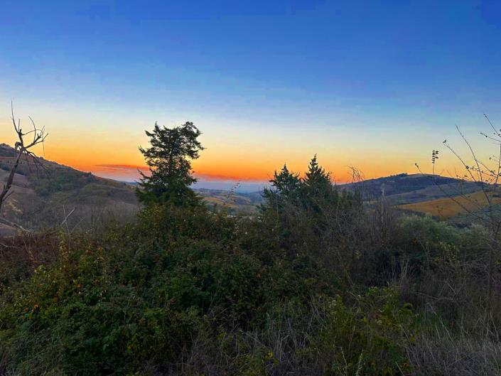 Image No.10-Cottage for sale