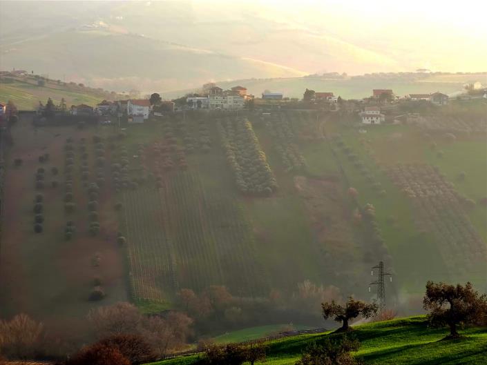 Image No.2-Terre à vendre à Atri