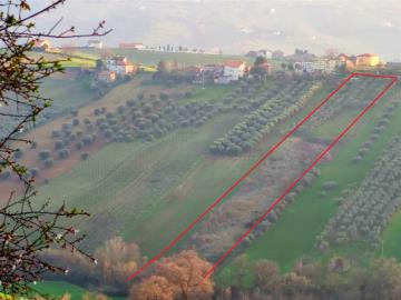 WhatsApp-Image-2025-03-07-at-08-55-38--5-