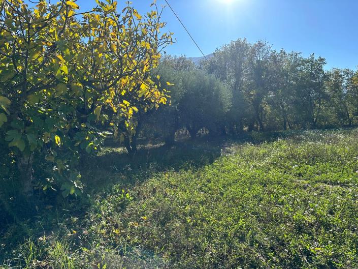 Image No.21-Propriété de 2 chambres à vendre à Catiglione A Casauria