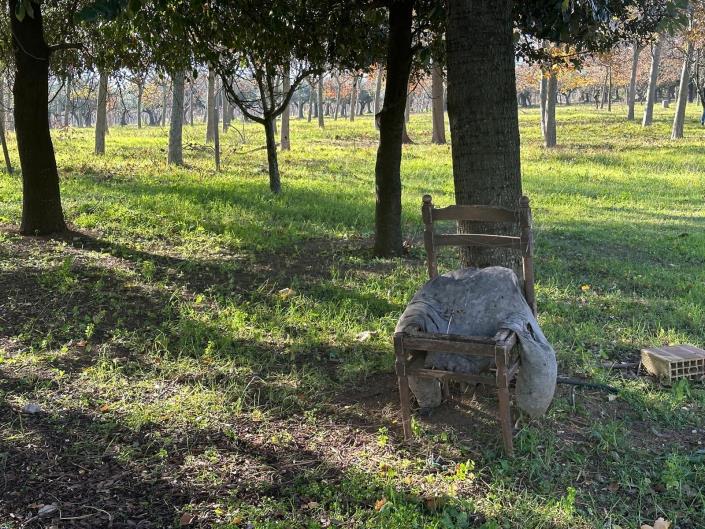 Image No.3-Propriété à vendre à Nocciano