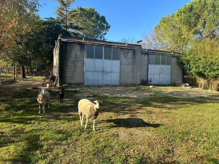 Image No.6-Propriété à vendre à Nocciano