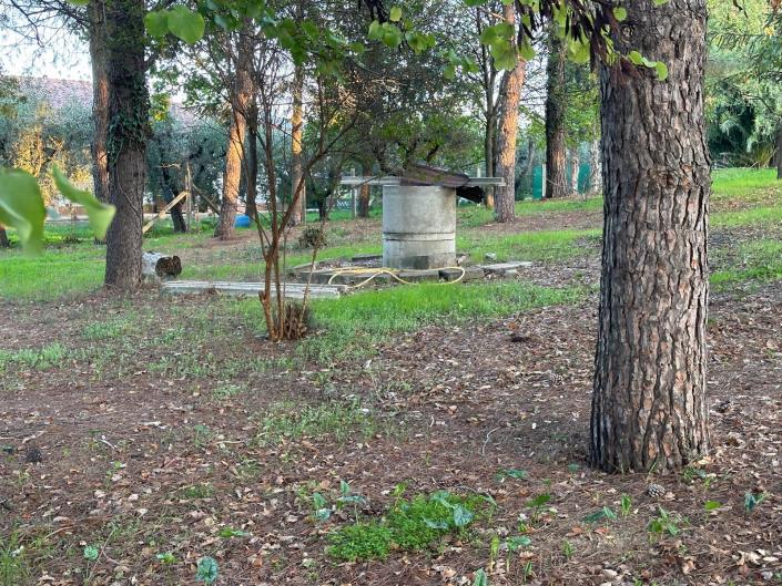 Image No.8-Propriété à vendre à Nocciano