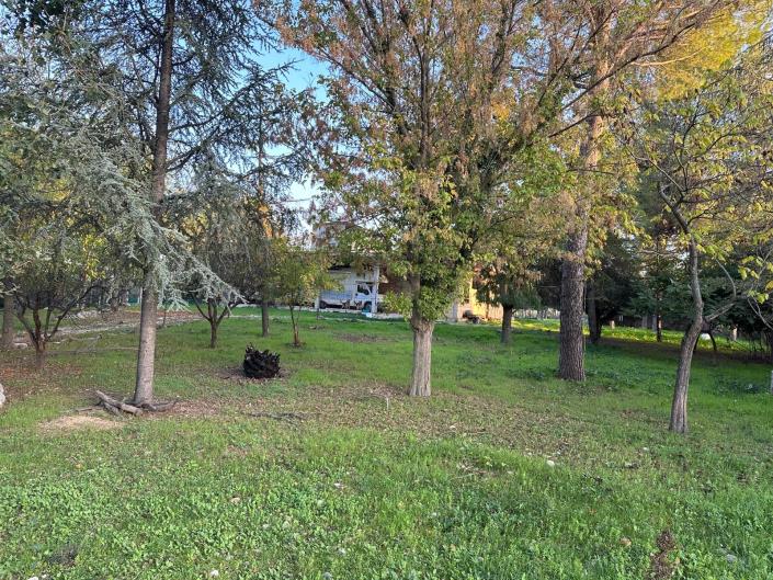 Image No.9-Propriété à vendre à Nocciano