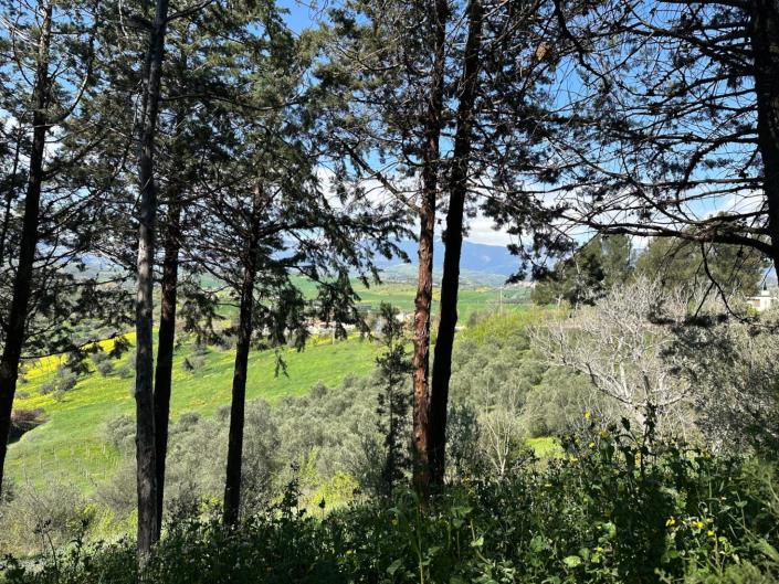 Image No.6-Propriété de 4 chambres à vendre à Alanno