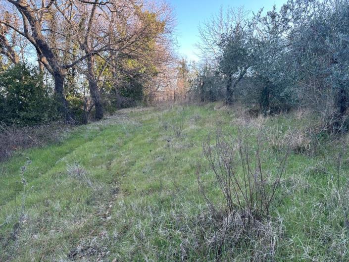 Image No.4-3 Bed Property for sale