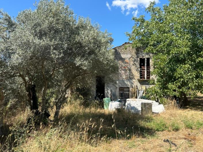 Image No.5-Propriété de 3 chambres à vendre à Castiglione a Causaria