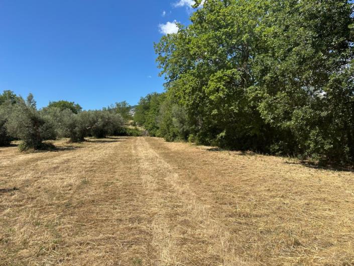 Image No.7-Propriété de 3 chambres à vendre à Castiglione a Causaria