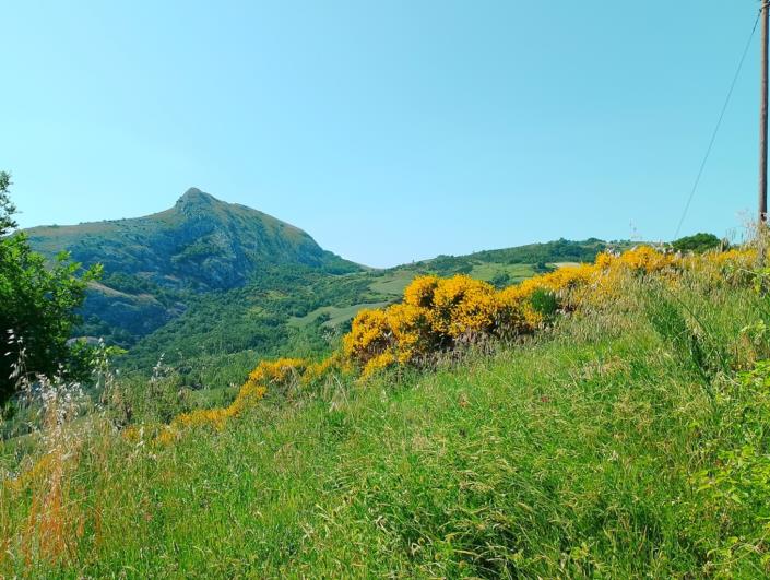 Image No.8-5 Bed Property for sale