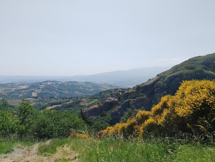 Image No.12-5 Bed Property for sale