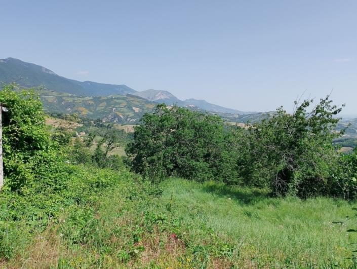 Image No.14-5 Bed Property for sale