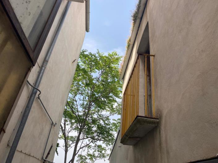 Image No.5-Propriété de 2 chambres à vendre à Castiglione a Causaria