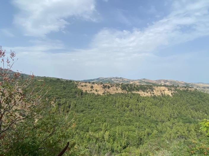 Image No.7-Propriété de 2 chambres à vendre à Castiglione a Causaria