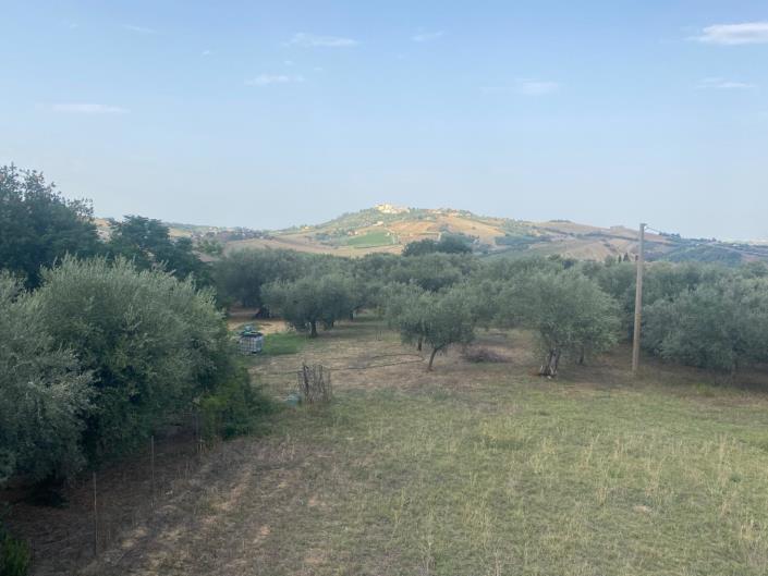 Image No.8-Propriété de 4 chambres à vendre à Cugnoli