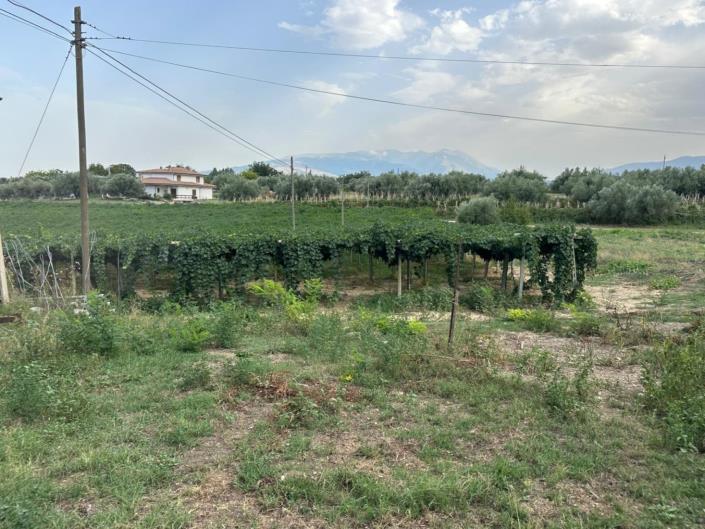 Image No.7-Propriété de 4 chambres à vendre à Cugnoli