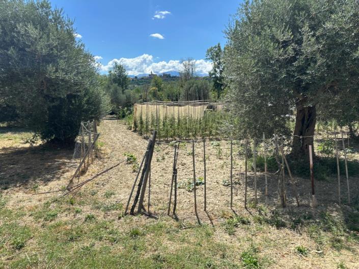 Image No.9-Propriété de 2 chambres à vendre à Castiglione a Causaria