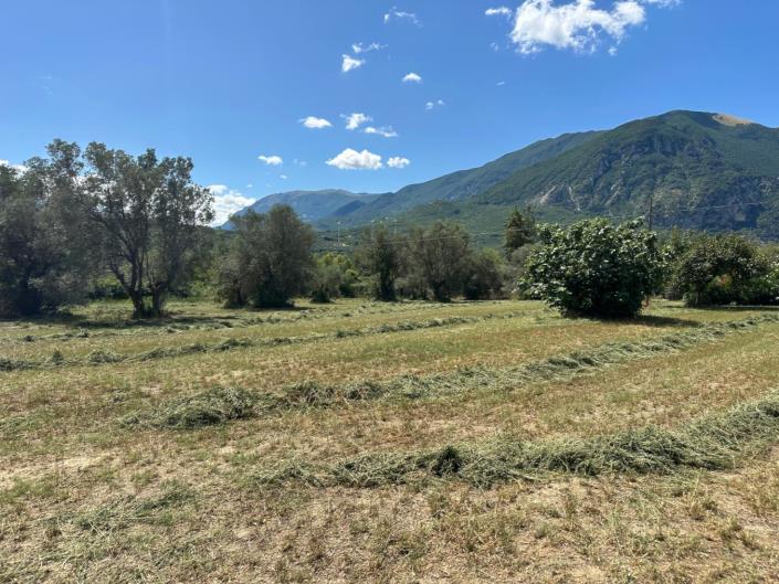 Image No.10-Propriété de 2 chambres à vendre à Castiglione a Causaria