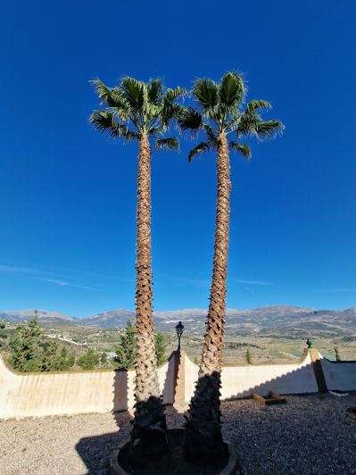 Image No.13-6 Bed Villa for sale