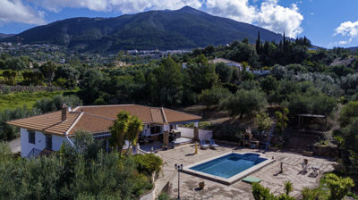 222-villa-for-sale-in-alcaucin-46153-large