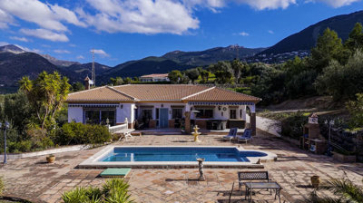 222-villa-for-sale-in-alcaucin-46149-large