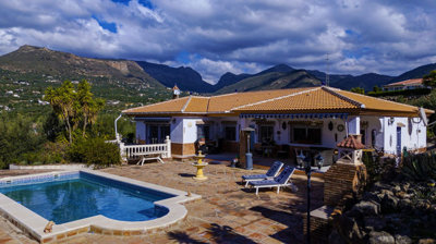 222-villa-for-sale-in-alcaucin-46156-large