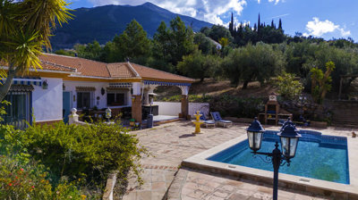 222-villa-for-sale-in-alcaucin-46157-large