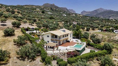 1366-villa-for-sale-in-alcaucin-47436-large